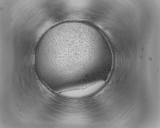 X0000088611459200706151815