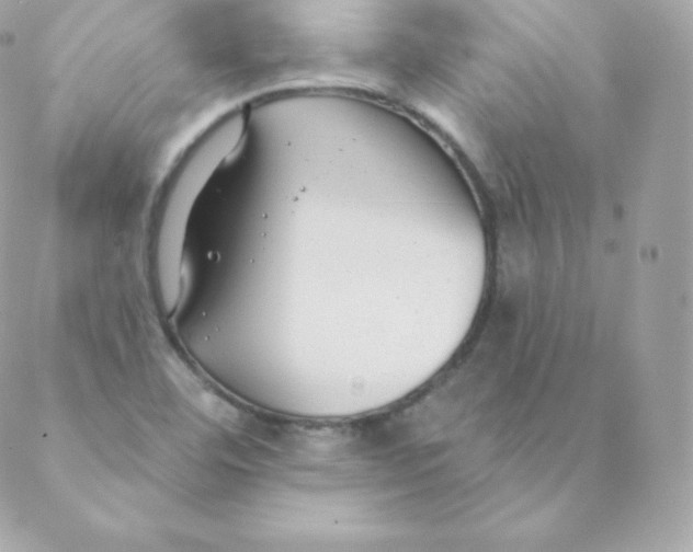 X0000088611460200706151815