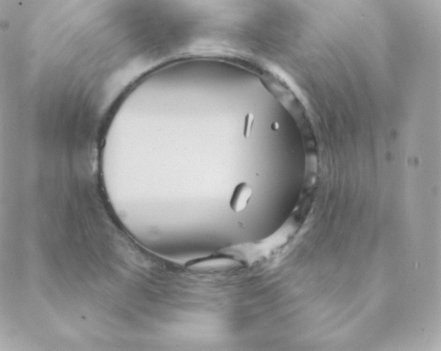 X0000088611461200706151815