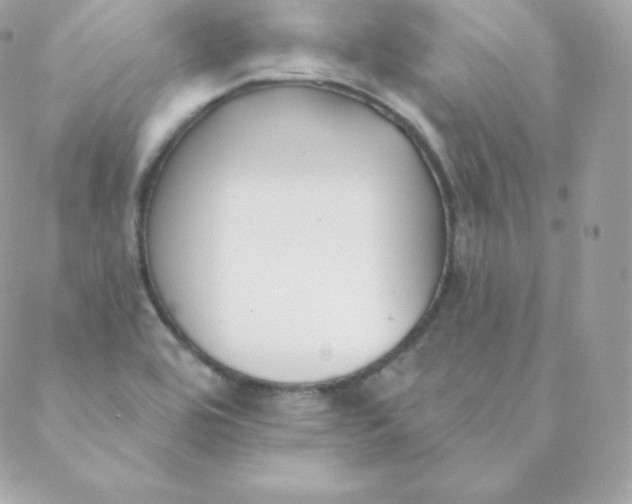 X0000088611464200706151815