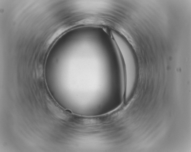 X0000088611465200706151815