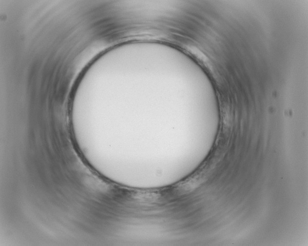 X0000088611466200706151815