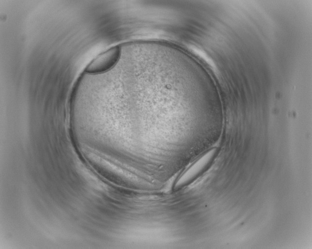 X0000088611467200706151814