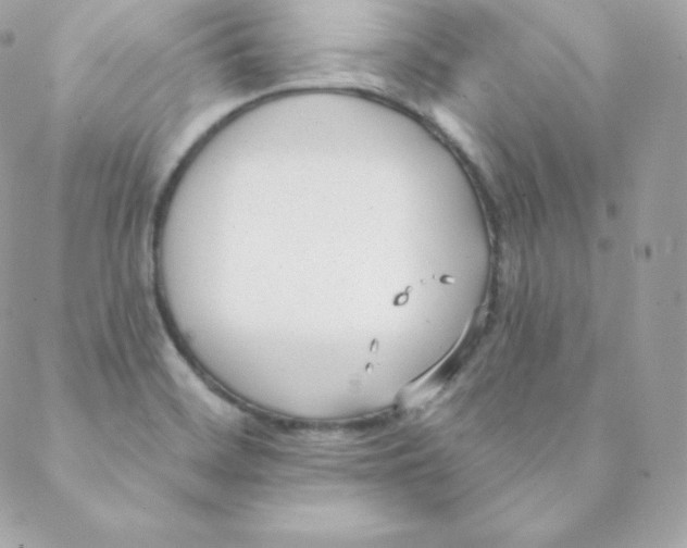 X0000088611468200706151814