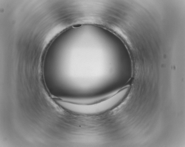 X0000088611469200706151814