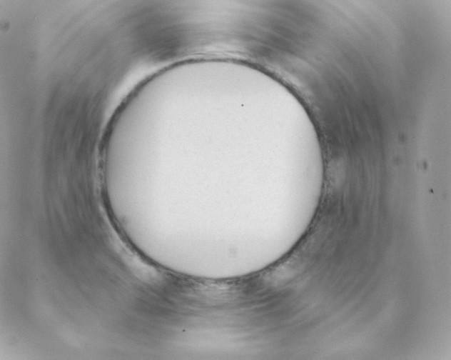 X0000088611470200706151814