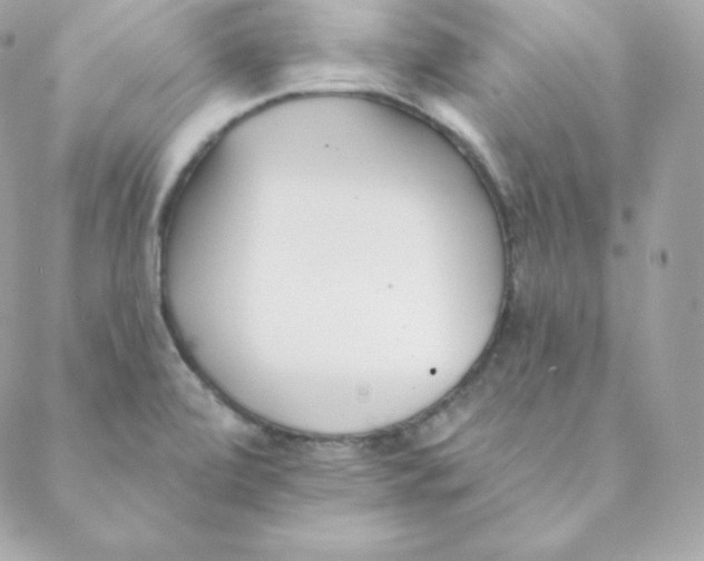 X0000088611472200706151814