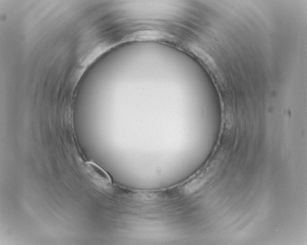 X0000088611473200706151814