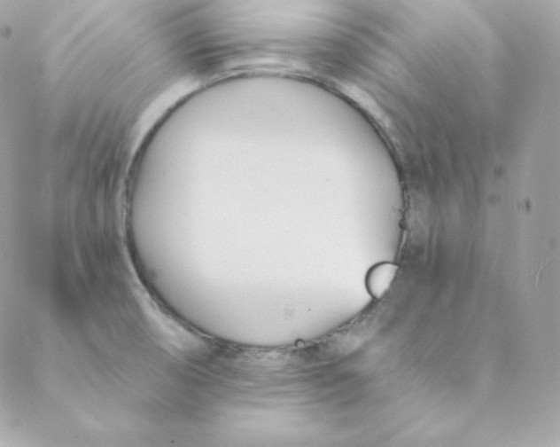 X0000088611474200706151814