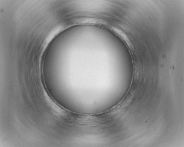 X0000088611475200706151814