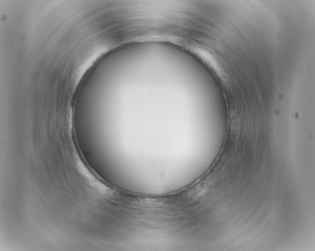 X0000088611476200706151814