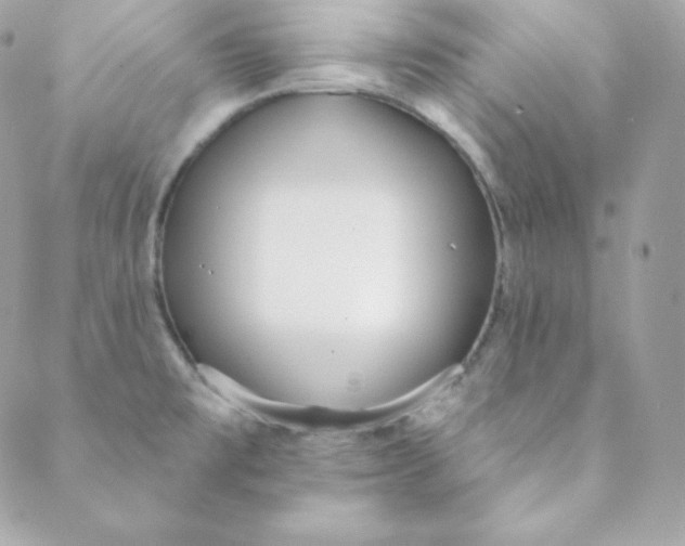 X0000088611477200706151814