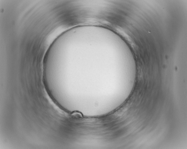 X0000088611479200706151814