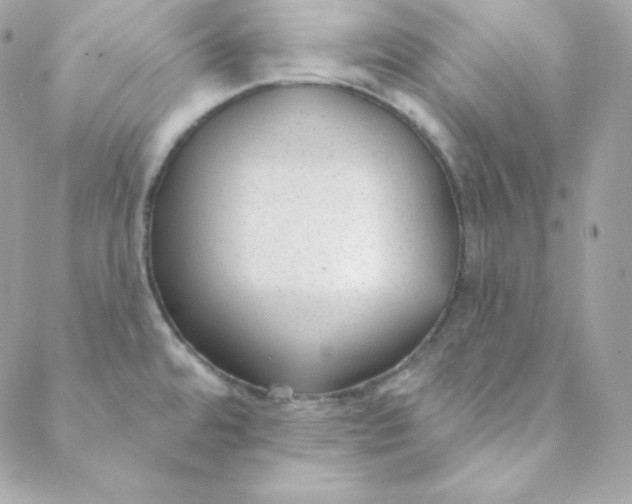 X0000088611480200706151814