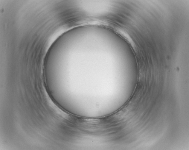 X0000088611483200706151814