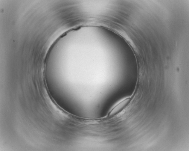 X0000088611484200706151814