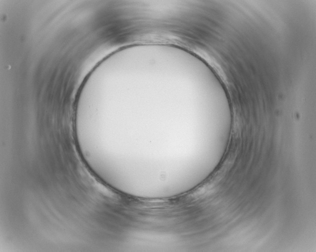 X0000088611486200706151814