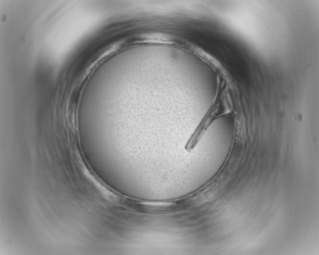 X0000088611487200706151814