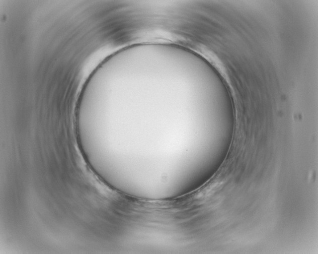 X0000088611488200706151814