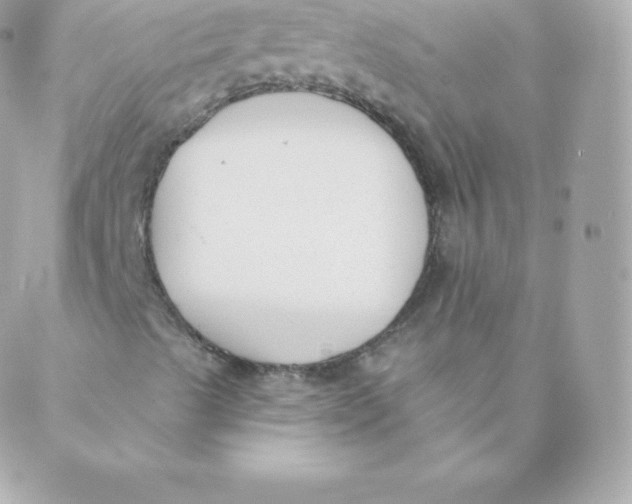 X0000088611489200706151813