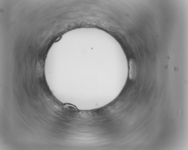 X0000088611491200706151813