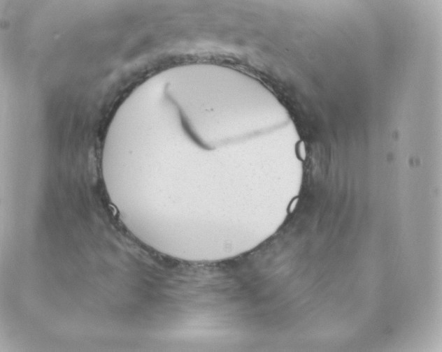 X0000088611493200706151813