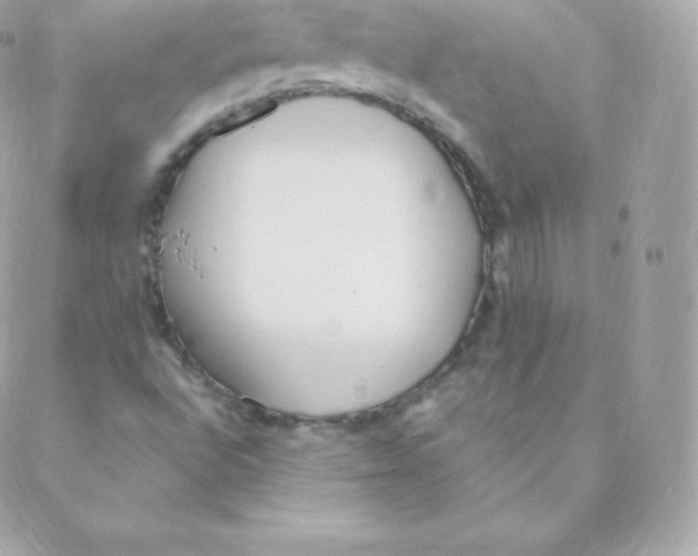 X0000088611496200706151813