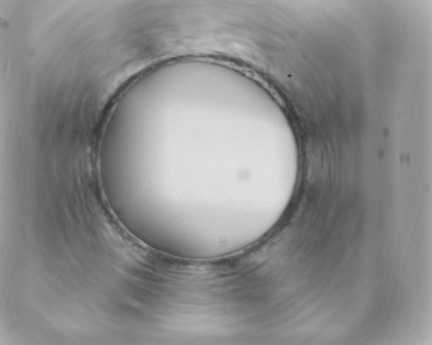 X0000088611497200706151813