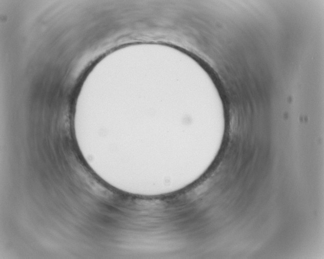 X0000088611498200706151814