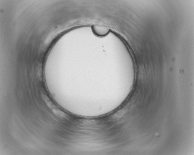 X0000088611499200706151814