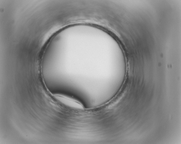 X0000088611501200706151814