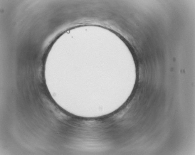 X0000088611502200706151814