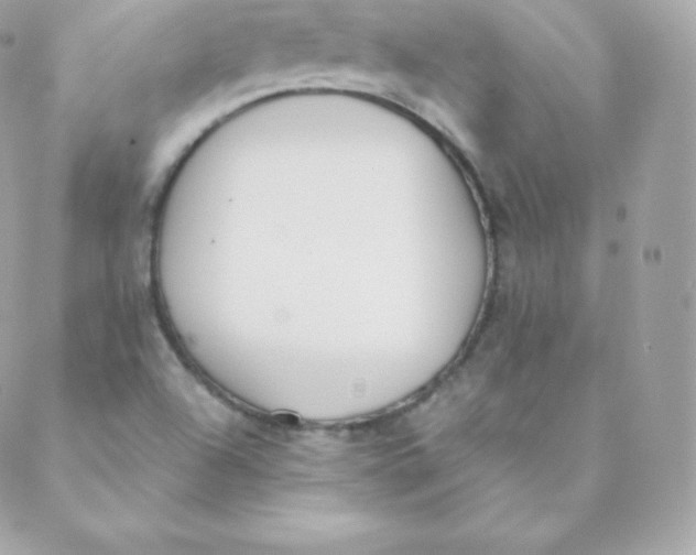 X0000088611504200706151814