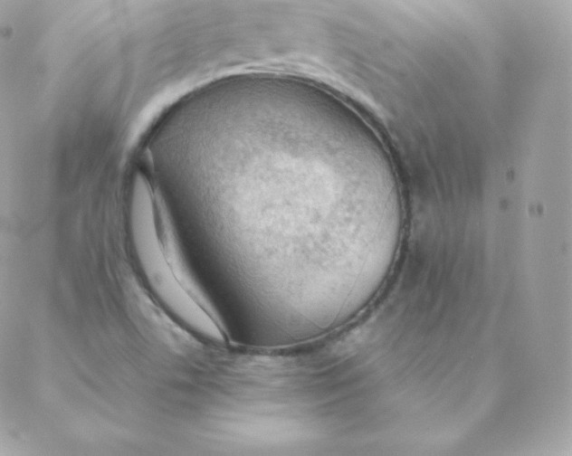 X0000088611506200706151814