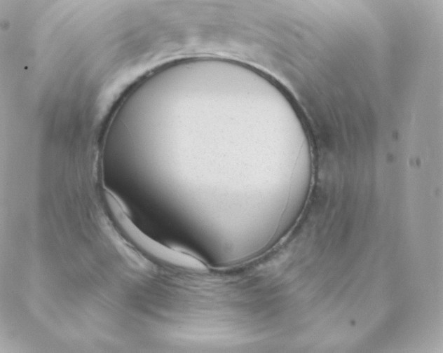 X0000088611507200706151814