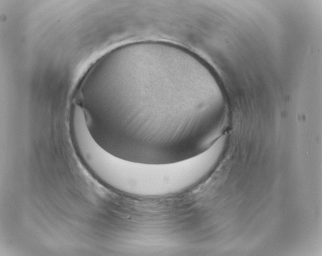 X0000088611508200706151814