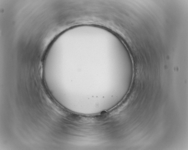 X0000088611509200706151814