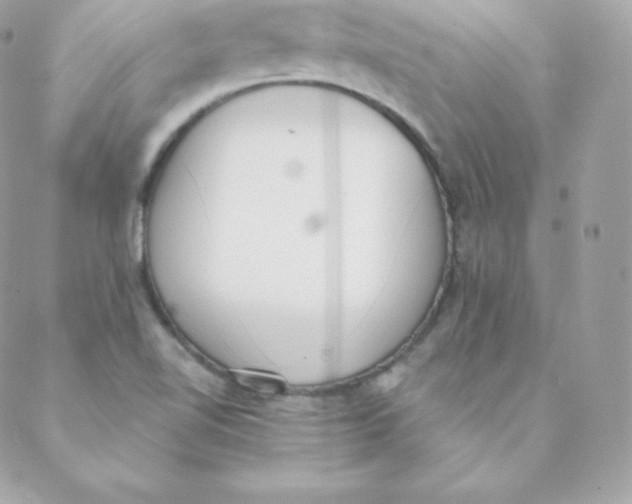 X0000088611510200706151814