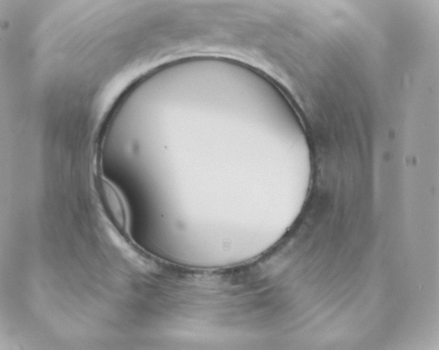 X0000088611511200706151814