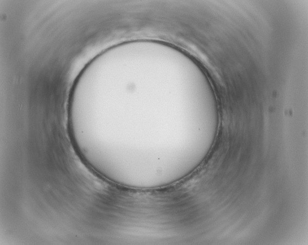 X0000088611512200706151814