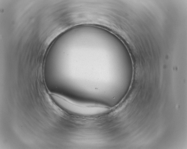 X0000088611513200706151814