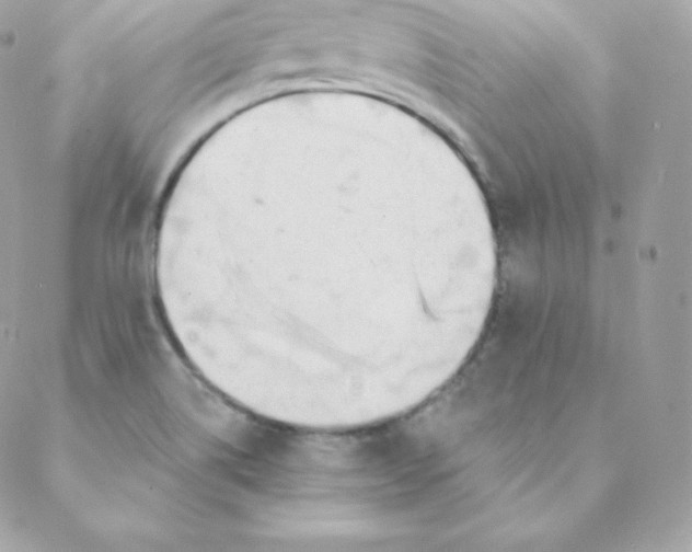 X0000088611514200706151814