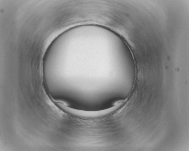 X0000088611516200706151814