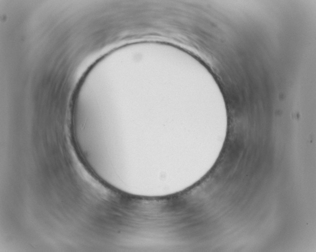 X0000088611518200706151814