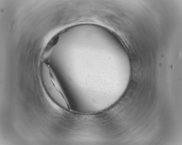 X0000088611519200706151814