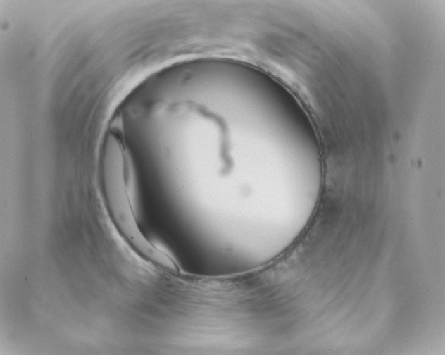 X0000088611520200706151814