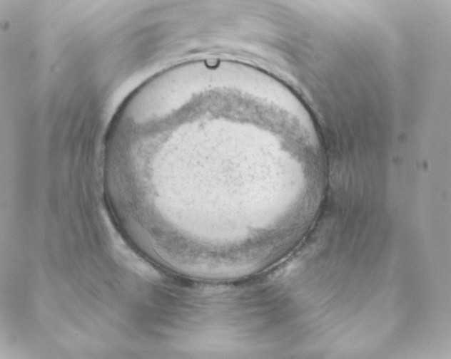 X0000088611522200706151814