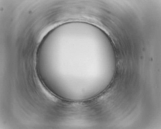 X0000088611523200706151814