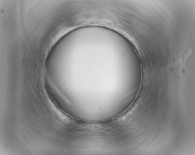 X0000088611525200706151814