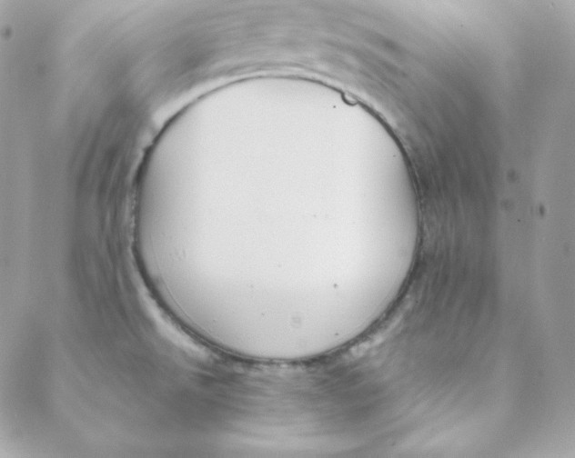 X0000088611526200706151814